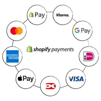 The-Complete-Guide-to-Shopify-Payments-1024x536-8c8ff512