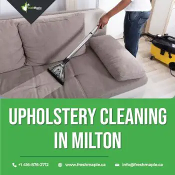 Upholstery Cleaning in Milton (4)-67cae384