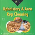 Upholstery & area Rug Cleaning