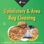 Upholstery & area Rug Cleaning