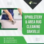 Upholstery & area rug cleaning Oakville-c3ea403d