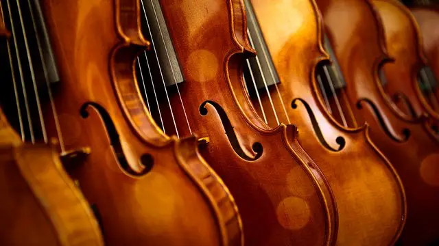 Violins-2650e42c