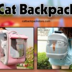 cat-backpack-banner-1536x606-aad454ec