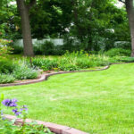 Garden clearance Merton: Evaluate the situation of your garden