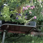 Garden  clearance Merton: Six tips to get rid of garden waste