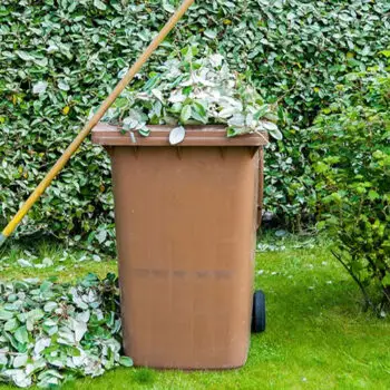 Garden clearance Merton: Seven garden waste recycling and disposing tips