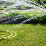 Garden clearance Sutton: How often should you water your garden