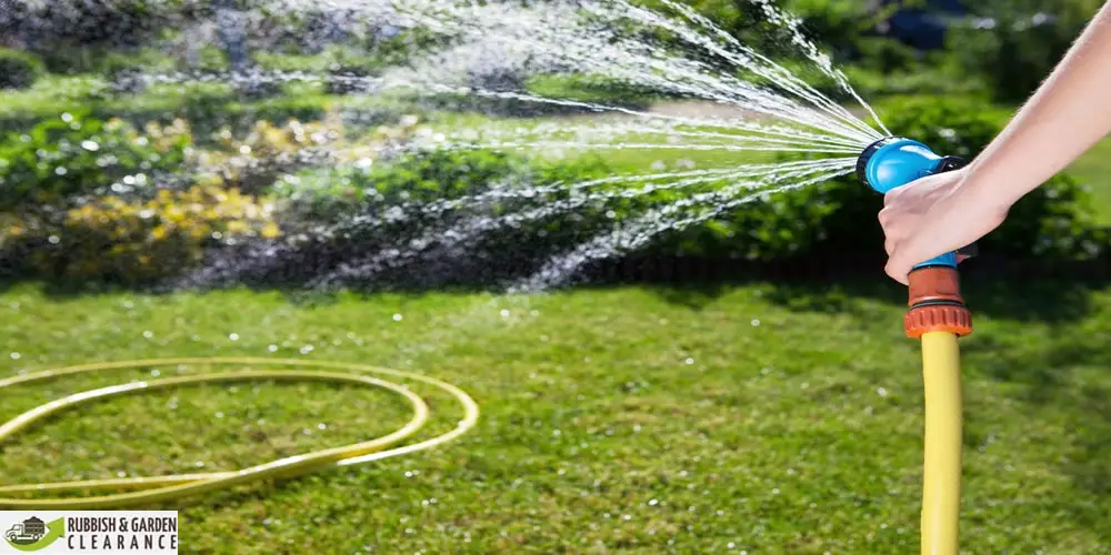 Garden clearance Sutton: How often should you water your garden