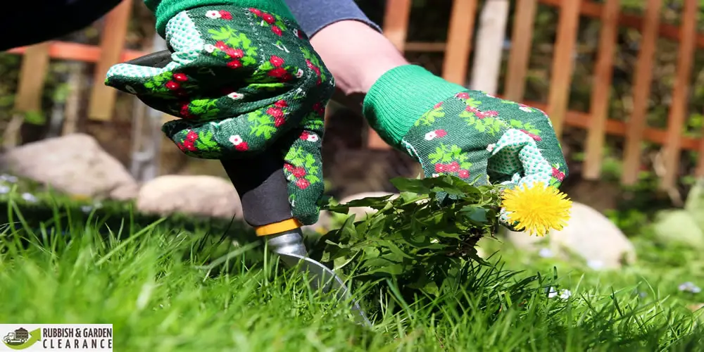 Garden clearance Merton: 4 best homemade natural weed killers to maintain your garden