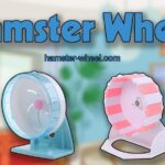 hamster-wheel-banner-1536x606-588e1ca6