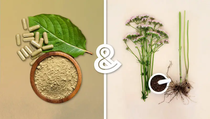 Kratom & Valerian Root: Can You Use the Two Together?