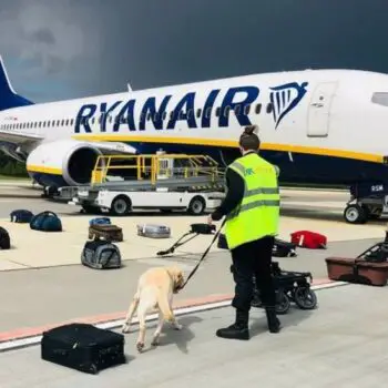 Comment se faire rembourser un billet d'avion Ryanair ?