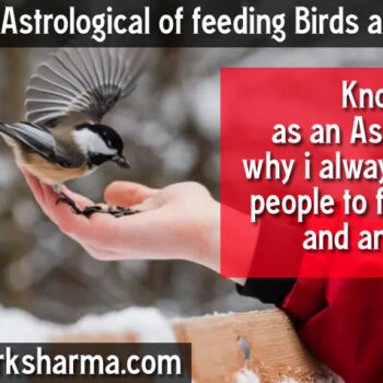 10 Benefits Astrological of feeding Birds and animals-9df59a5c