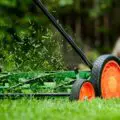 Best Lawn Care-85a641f3