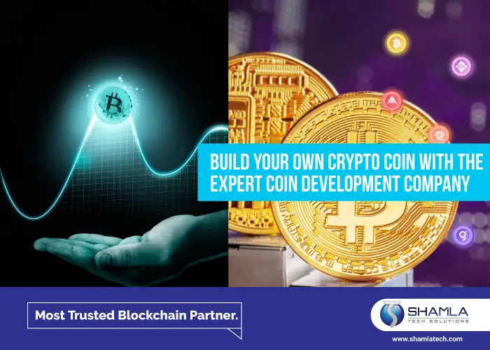 Build-your-own-crypto-coin (1)-edc569e9