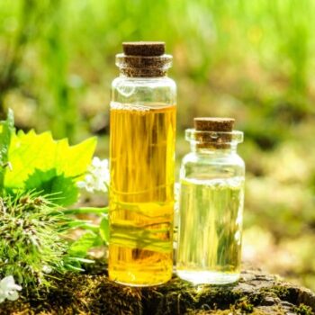 Can oregano oil help to reduce menstrual cramps-a37bda3d