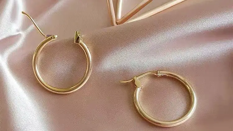Citrus Hoop Earrings with Eye Catching Design at an Affordable Rate-bb779358