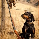 Dog and shotgun in foothills-42967b96