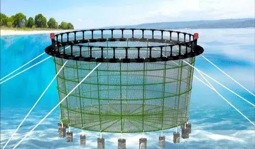 Fishing Net and Aquaculture Cage Market-b40ac80c