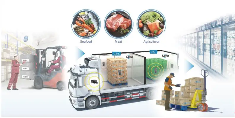 Portugal Cold Chain Industry Outlook-d16cf55e