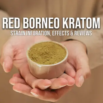 Red-borneo-kratom-100-900-6814ab5c