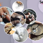 Silver Rings Jewellery Manufacturer in Jaipur-5047ec86
