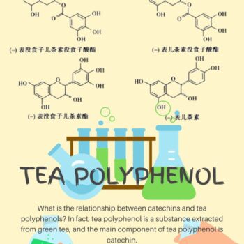 Tea-Polyphenol-856496fd