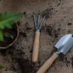 Things to Consider While Looking for the Best Potting Mix Online-3b4cf6ea