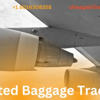 United Baggage Tracking-0141b5d5