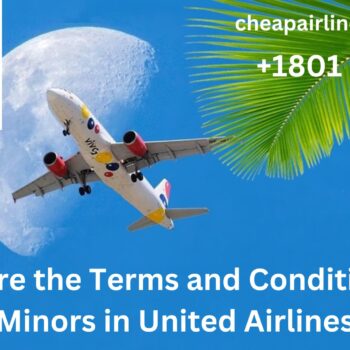 What Are the Terms and Conditions for Minors in United Airlines-ff570536