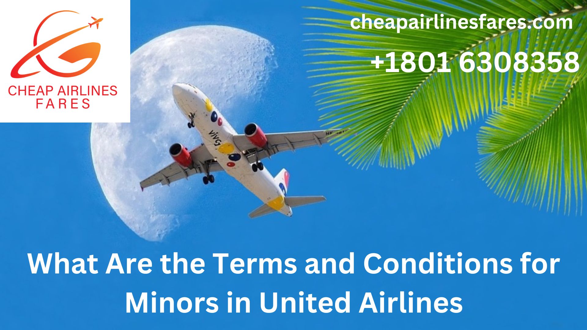What Are the Terms and Conditions for Minors in United Airlines-ff570536