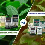 Green Malay Kratom vs. Maeng Da Kratom: An analysis