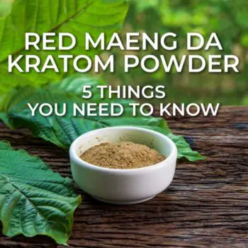 5 Things You Need To Know About Red Maeng Da Kratom Powder Today