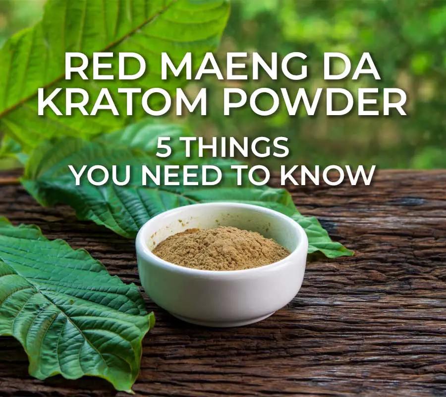 5 Things You Need To Know About Red Maeng Da Kratom Powder Today