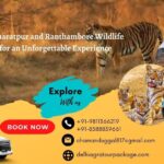 A Trip to Bharatpur and Ranthambore Wildlife Reserves for an Unforgettable Experience-c8550688