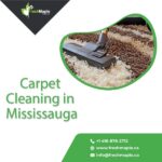 Carpet Cleaning in Mississauga-d0d1b3dc