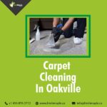 Carpet Cleaning in Oakville-2e16d756