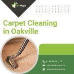 Carpet Cleaning in Oaville-93e807f5
