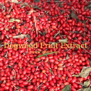 Dogwood-Fruit-Extract-7de33dd8