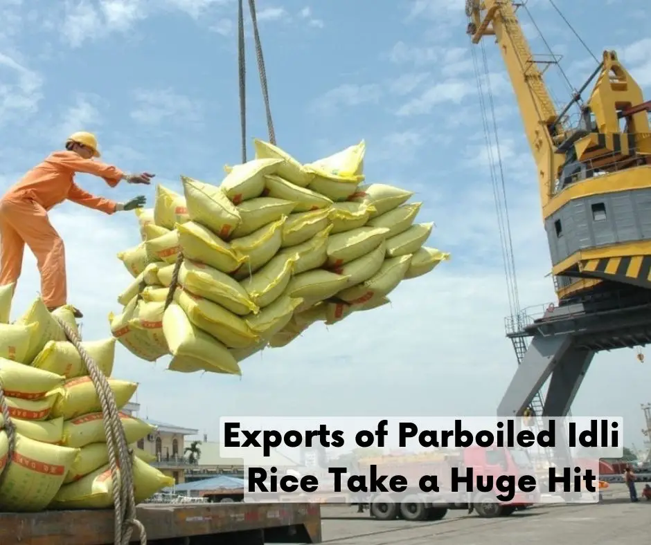 Exports of Parboiled Idli Rice Take a Huge Hit-9615737e