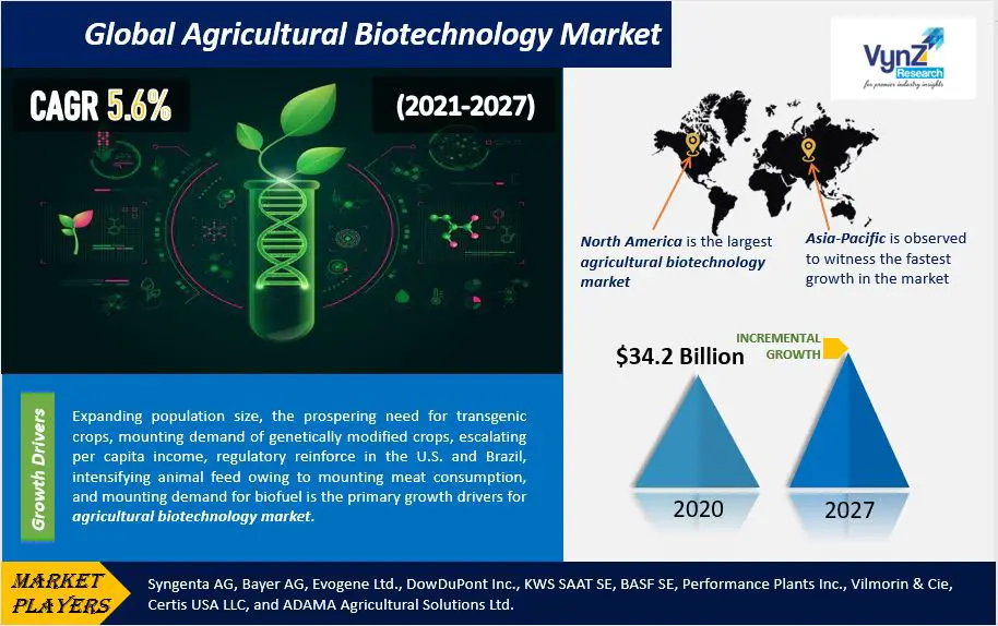 Global Agricultural Biotechnology Market-343d3579