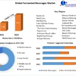 Global-Fermented-Beverages-Market-4-5bd39667