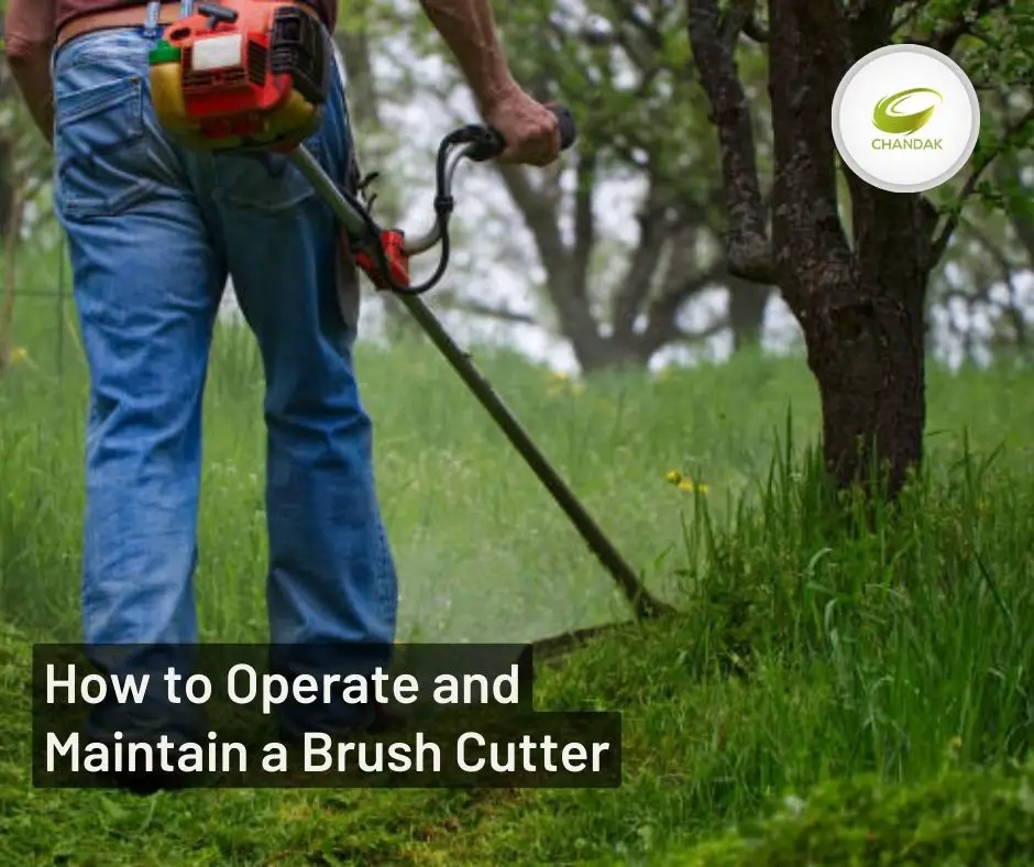 How to Safely Operate and Maintain a Brush Cutter-661ac16d