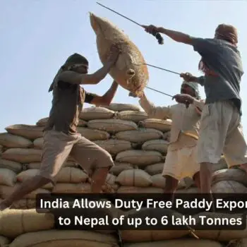 India Allows Duty Free Paddy Exports to Nepal of up to 6 lakh Tonnes-c4662db1