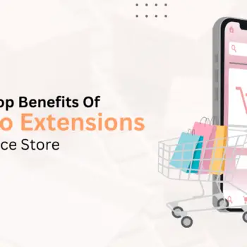 Magento Extensions In Ecommerce Store-fe2c6d42