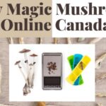 Magic Mushrooms Online2-c387b1f4