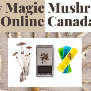 Magic Mushrooms Online2-c387b1f4