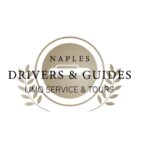 Naplesdriverguide banner-942ab918