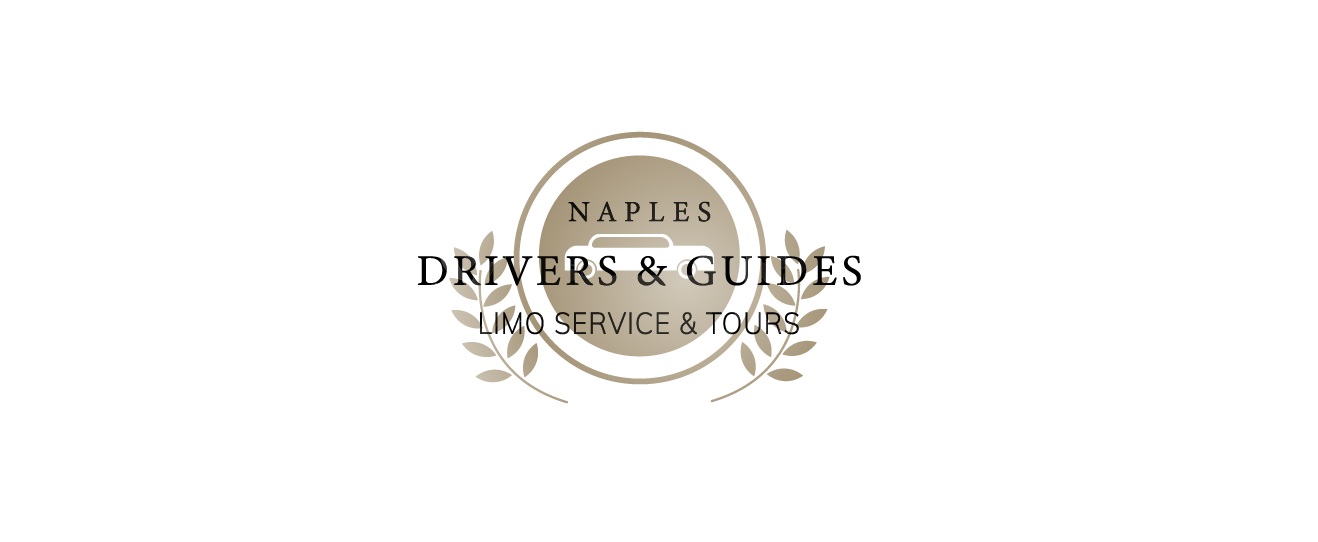 Naplesdriverguide banner-942ab918