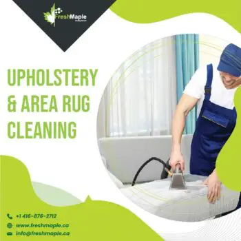 Upholstery & area rug Cleaning-08ef7813